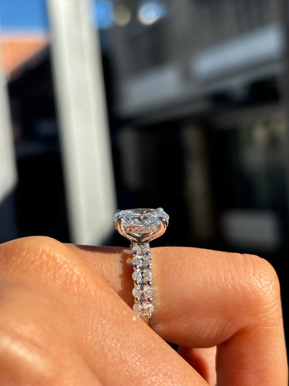 Lexie – Oval Solitaire with Hidden Halo and wide Pavé