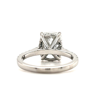 Meghan – Cushion Solitaire with Hidden Halo and Pavé