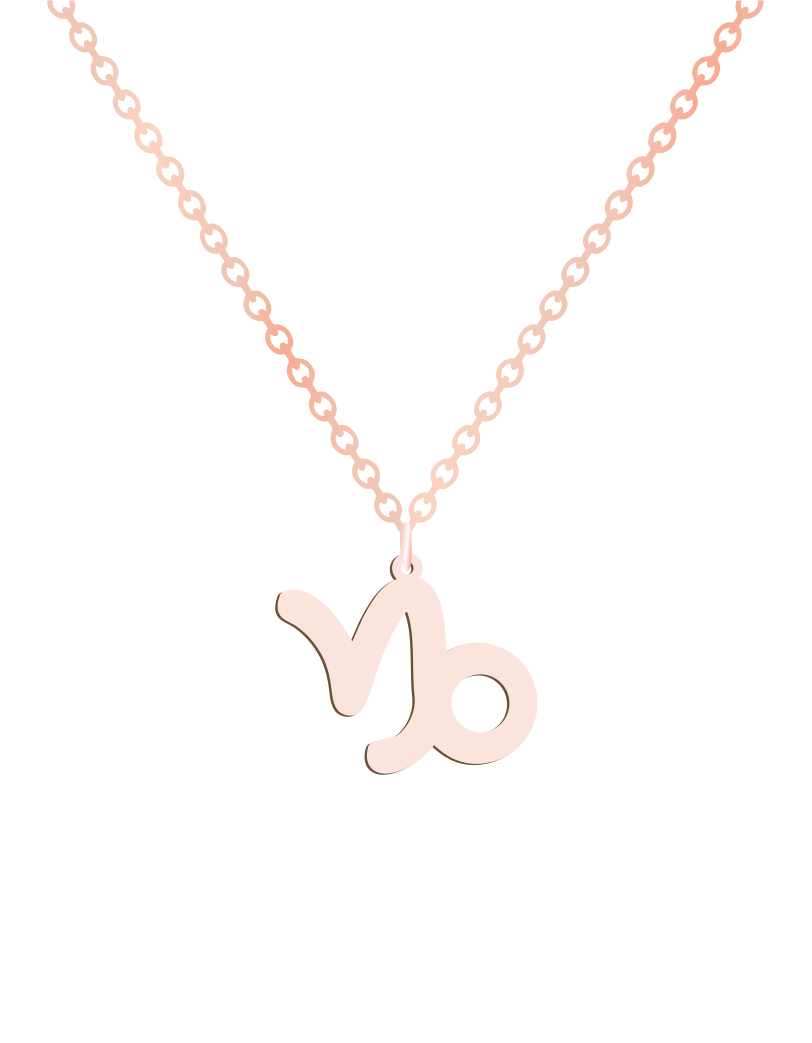 Capricorn Sign Necklace - Prime & Pure