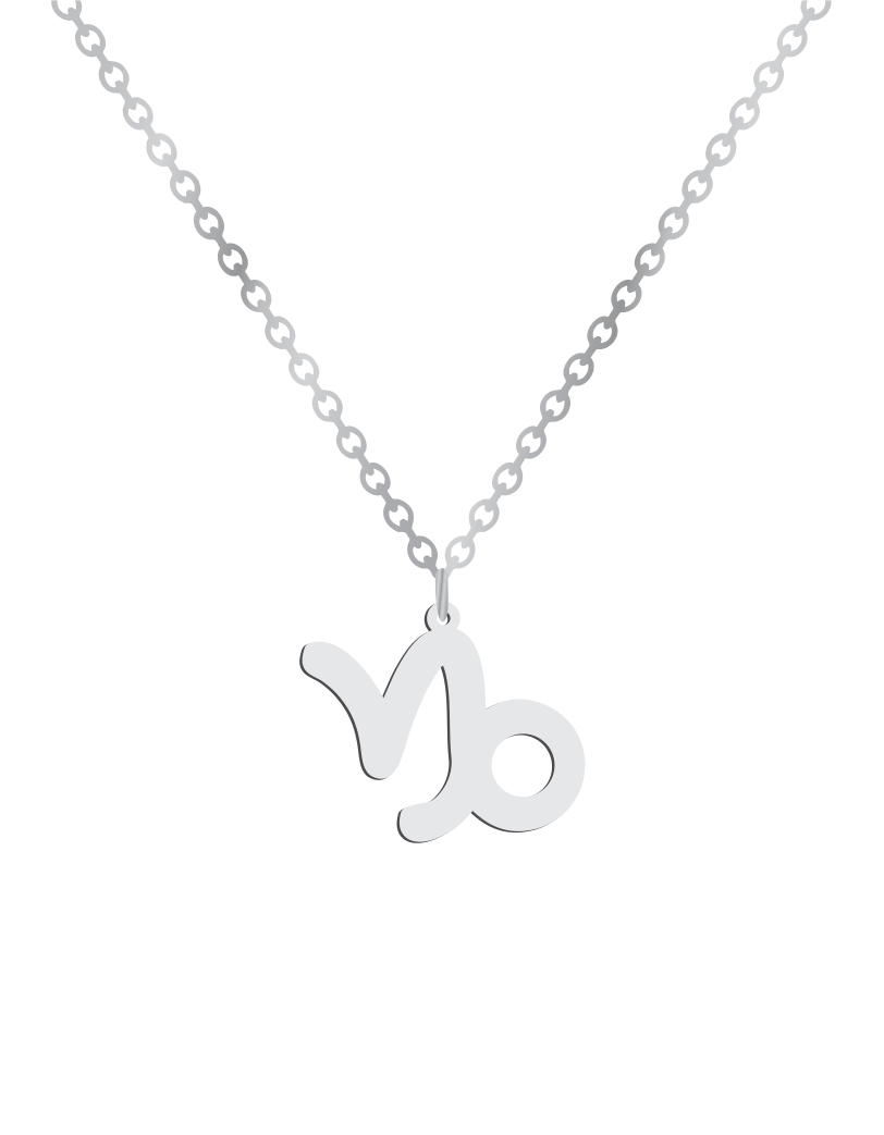 Capricorn Sign Necklace - Prime & Pure